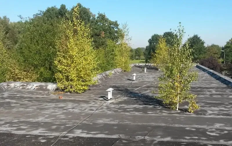 The 5 Biggest Misconceptions About Roof Maintenance