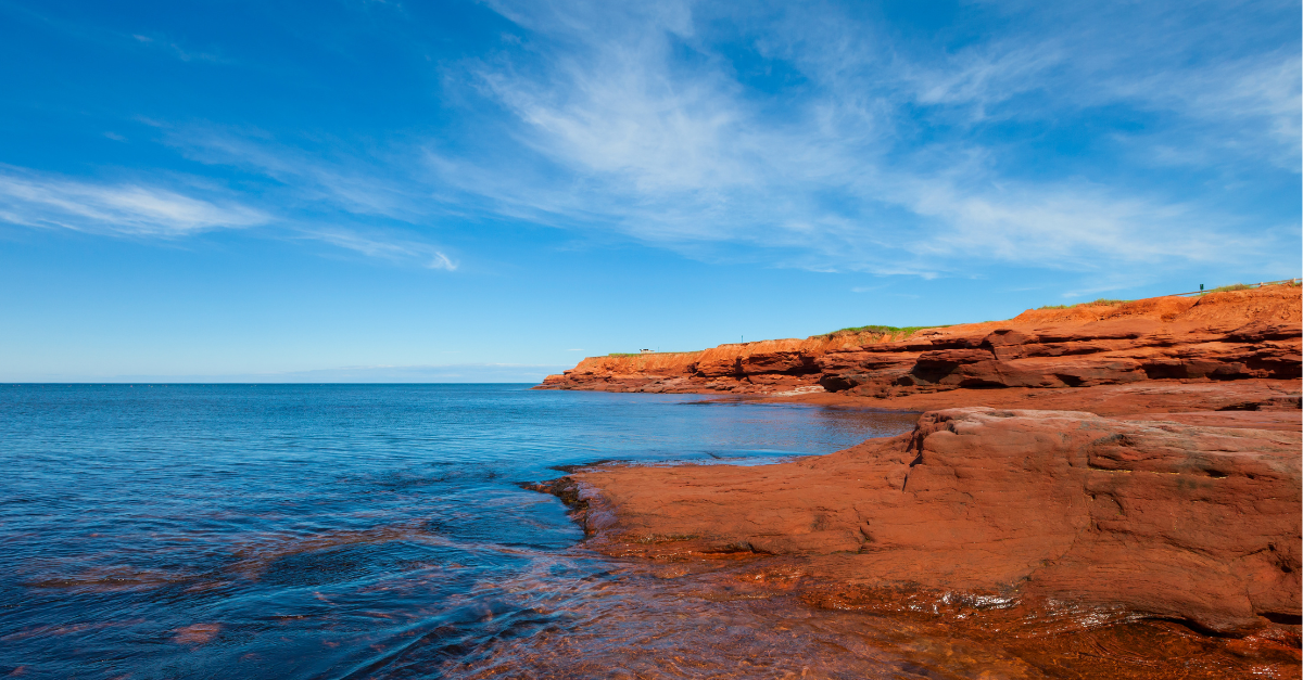 Building on a Year That Changed Pharmacy Practice in PEI