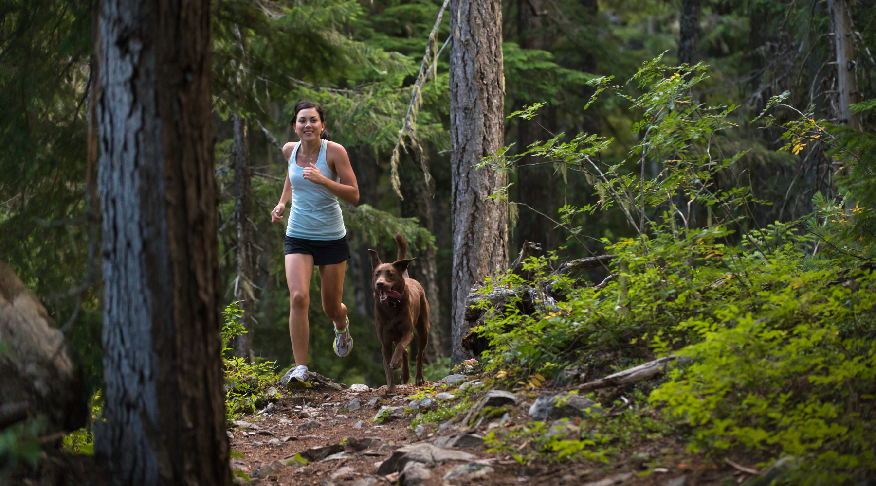 For the Love of Running