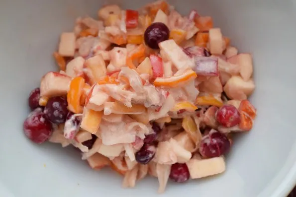 cranberry apple sauerkraut slaw