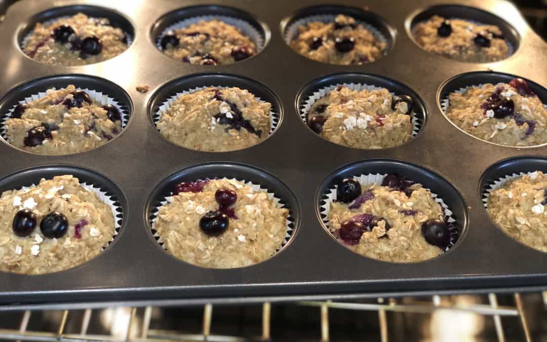 Blueberry Protein Muffins
