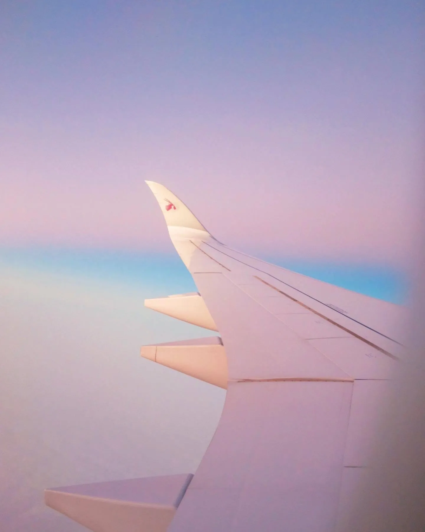 the wing of an airplane