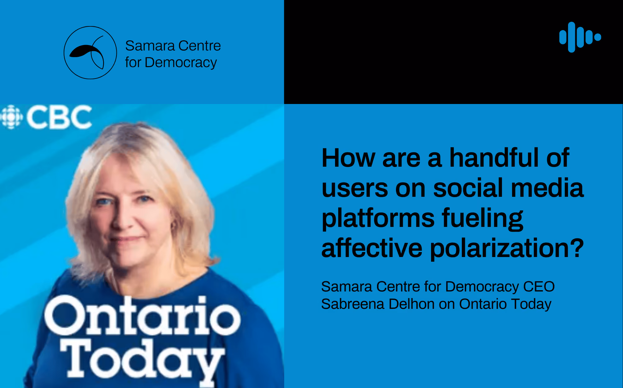 How are a handful of users on social media platforms fueling affective polarization?