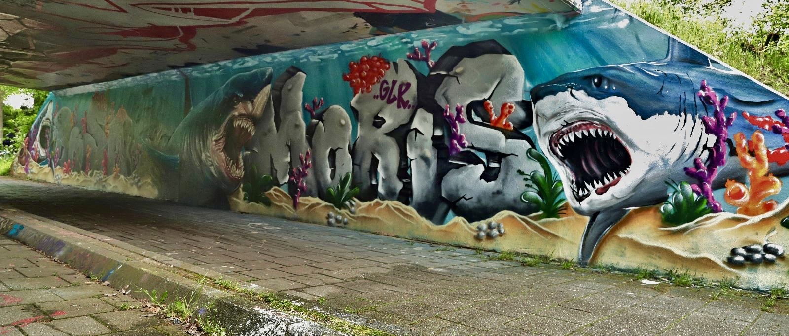 SHARKS Painting Wijchen 2024