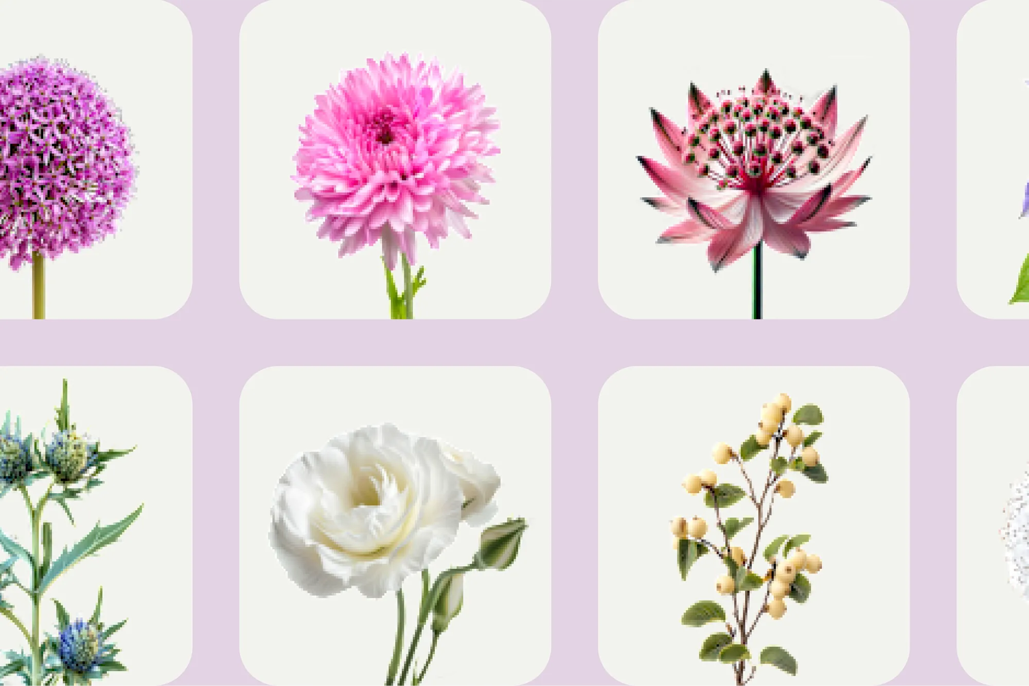 Eine mögliche Auswahl an Blumen und Pflanzen