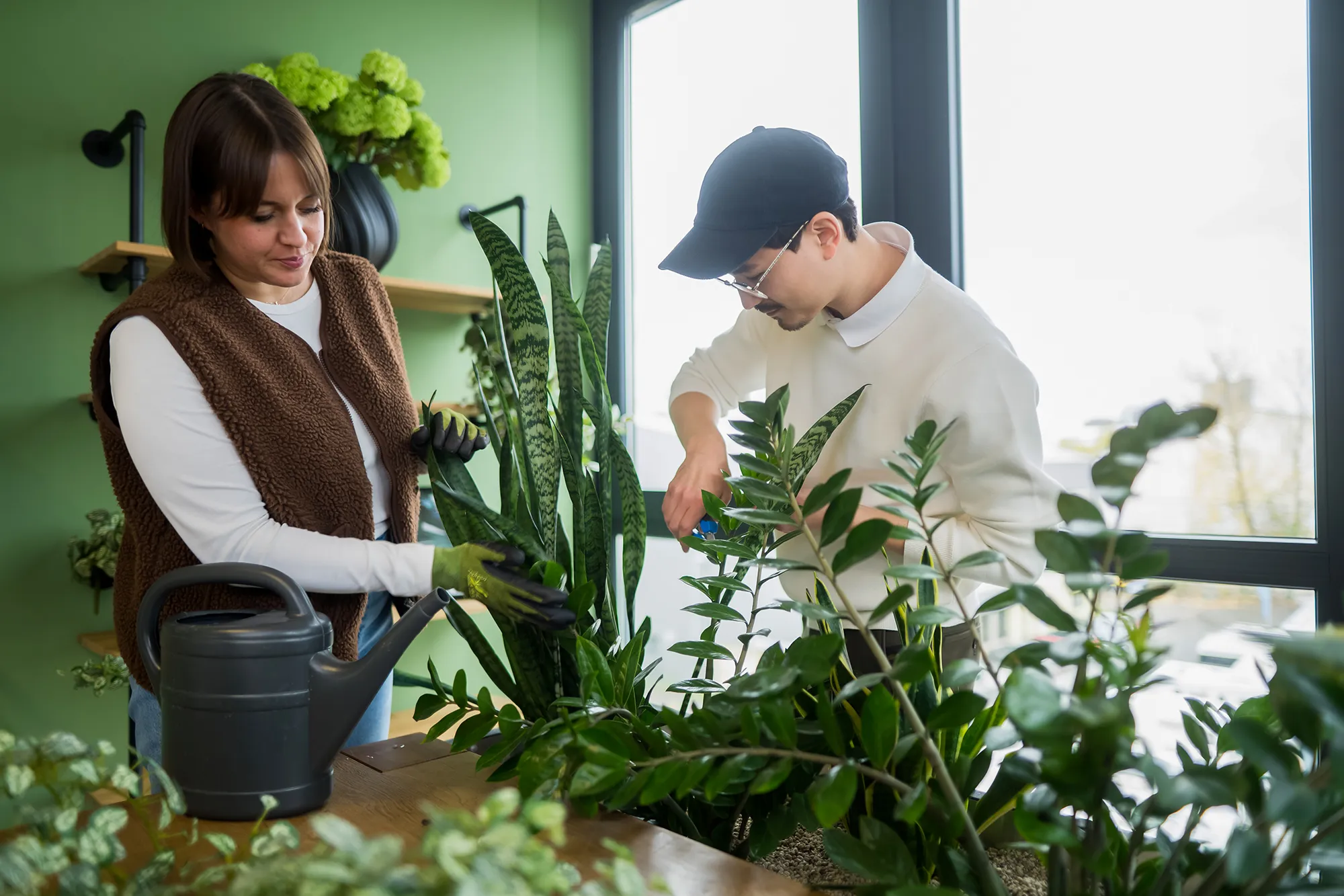 Zwei Personen kümmern sich um ihre Pflanzen