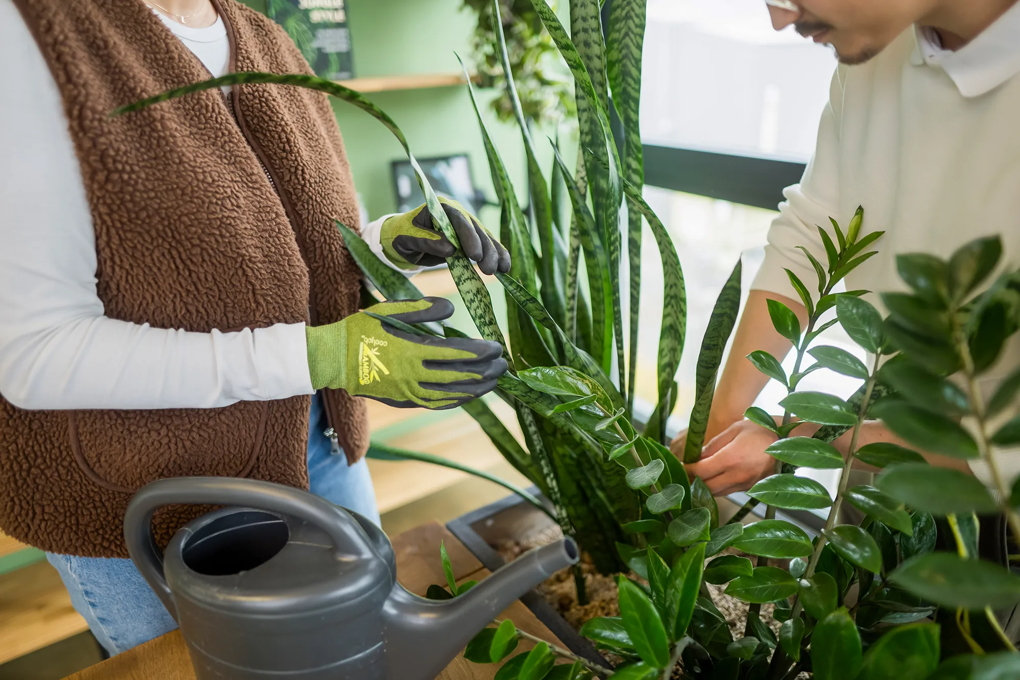 Pflanzen werden gegossen und geschnitten