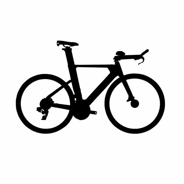 Triathlon bike