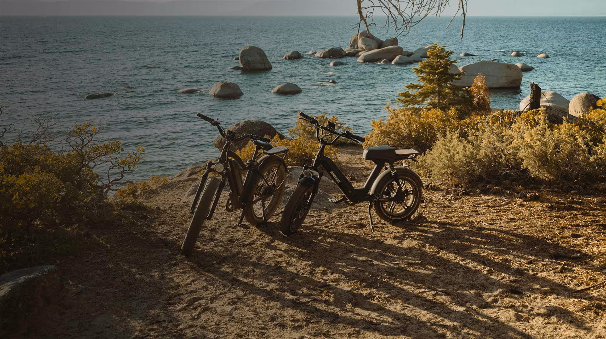 Get premium cover from as little $10* per month.