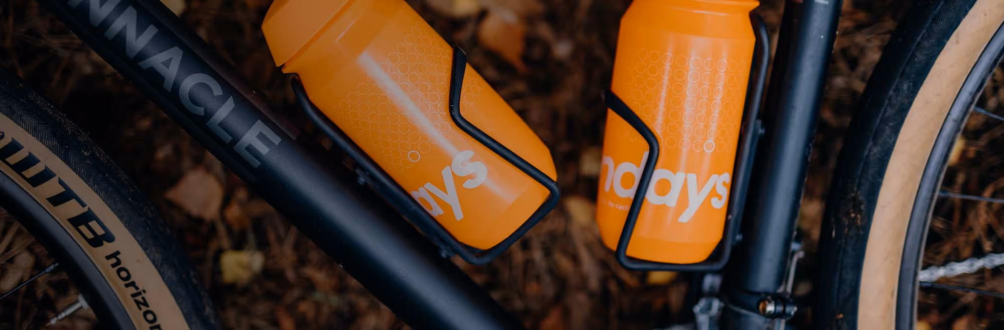 Get premium cover from as little $9.91 per month.