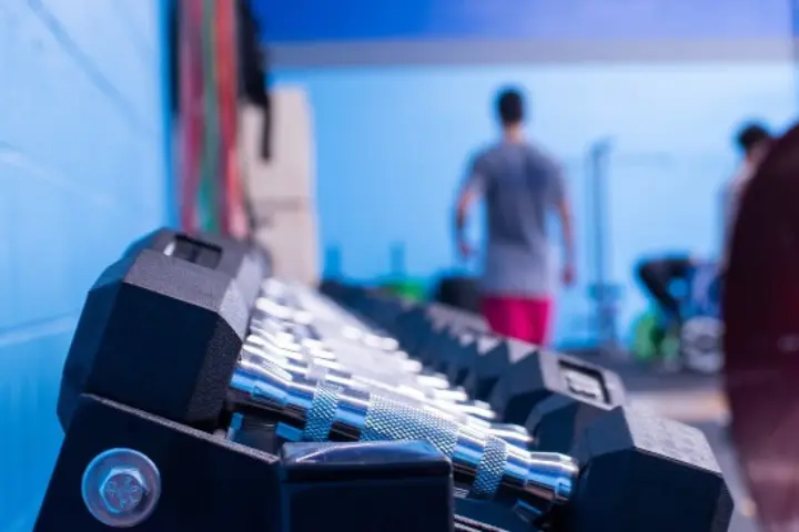 Main Programs