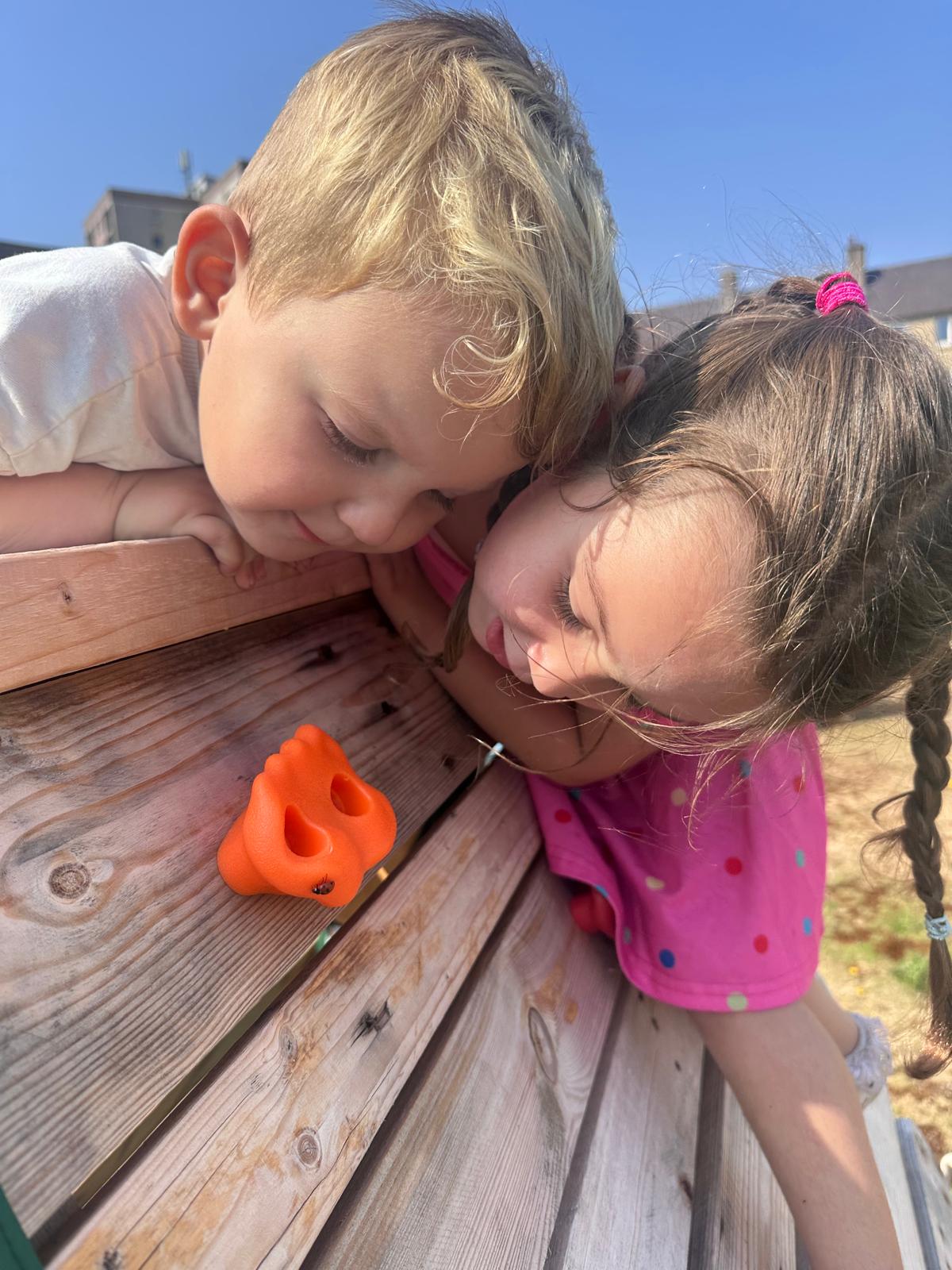 close up image of some red pencils