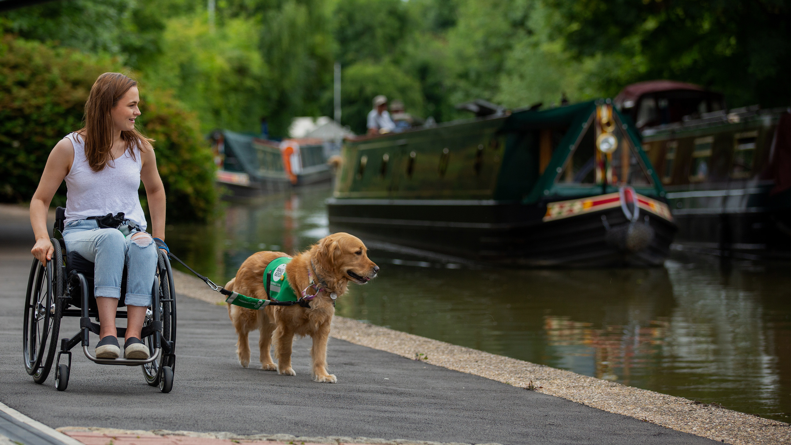 A person in a wheelchair walking a guide dog