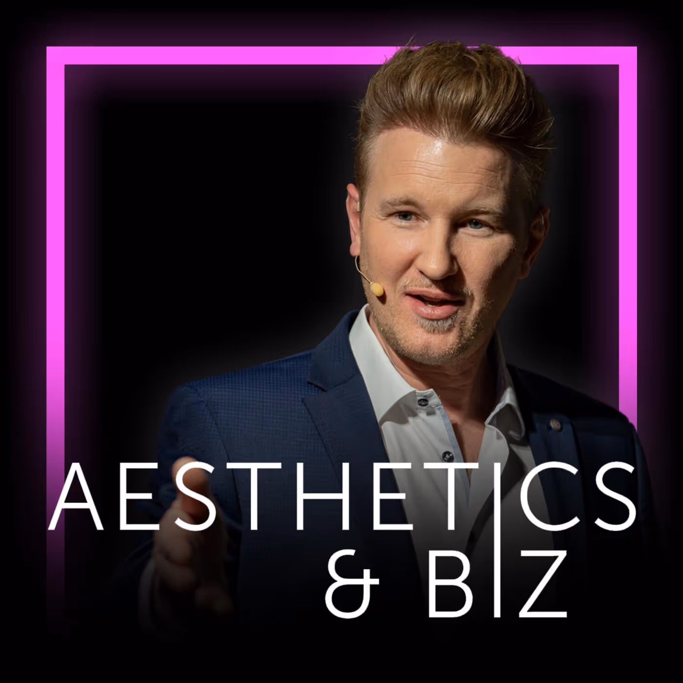 Aesthetics & Biz podcast artwork.