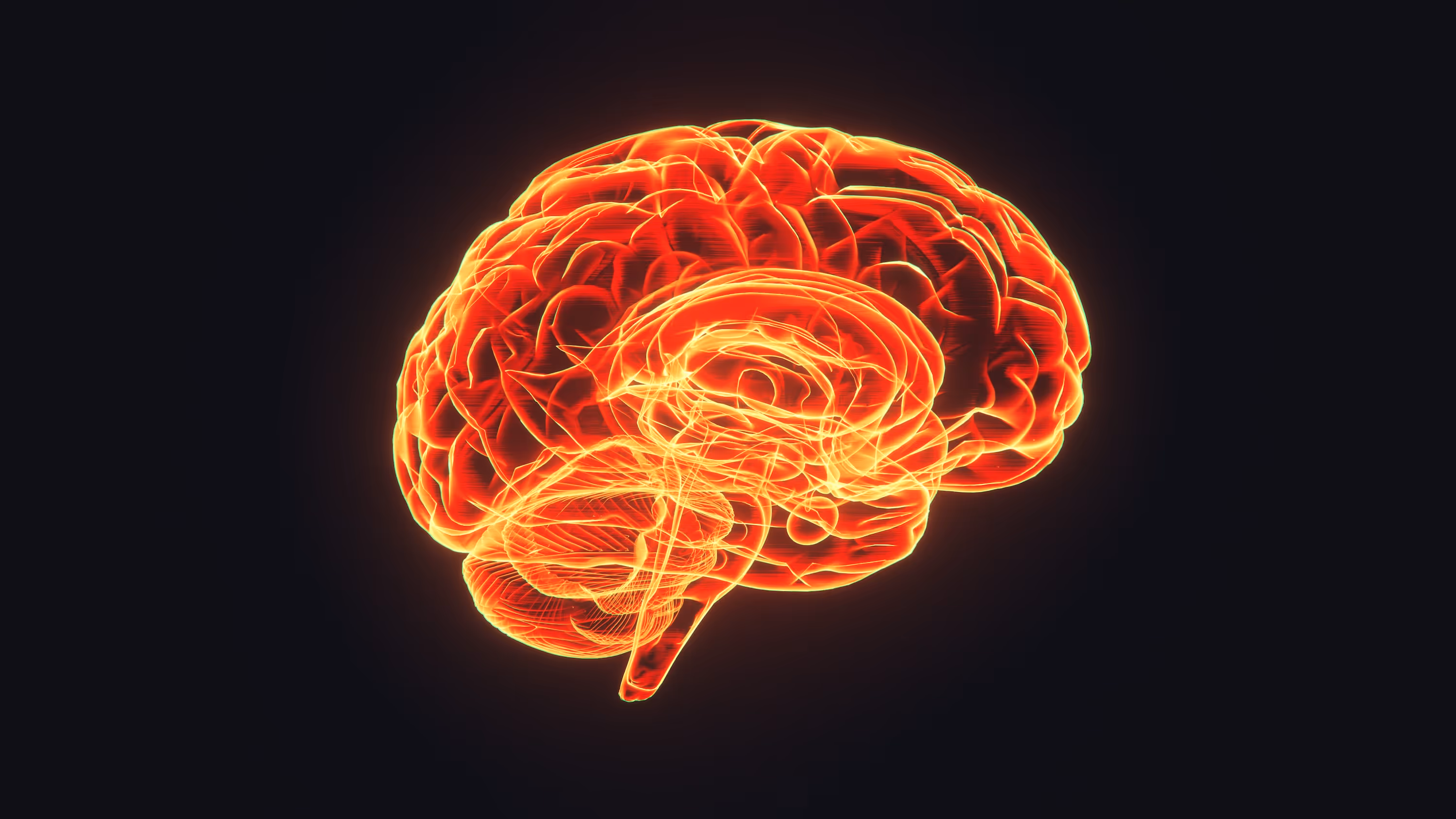 Brain hologram