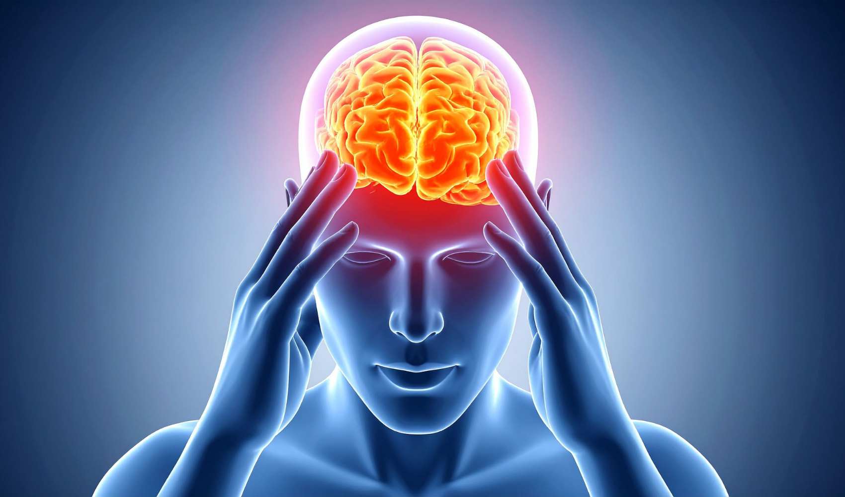 🧠 Your Brain on Macros (Why World Brain Day Should Matter to Anyone Who Trains)