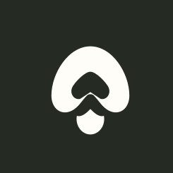 River Bear Creative avatar