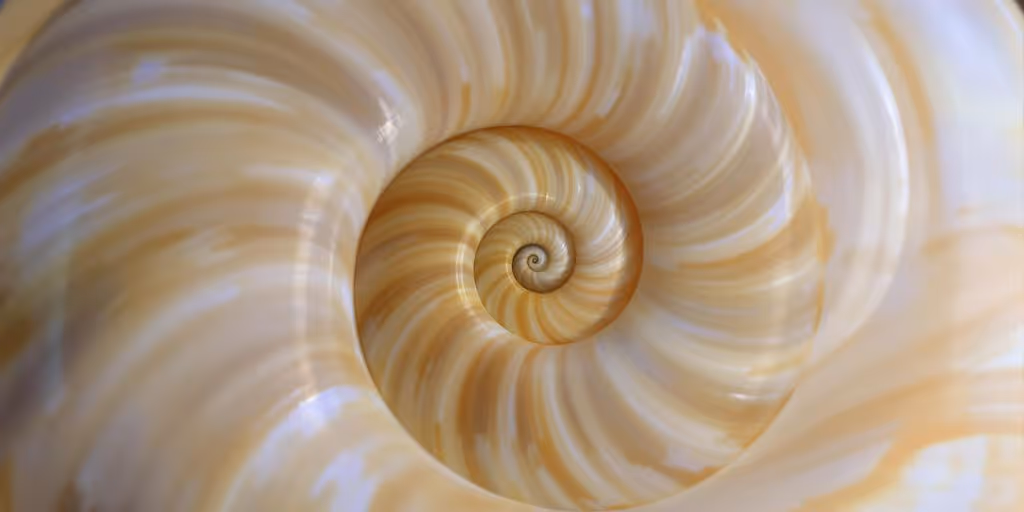 3D Visualisierung RhineRender – Das Geheimnis des goldenen Schnitt Verhältnisses