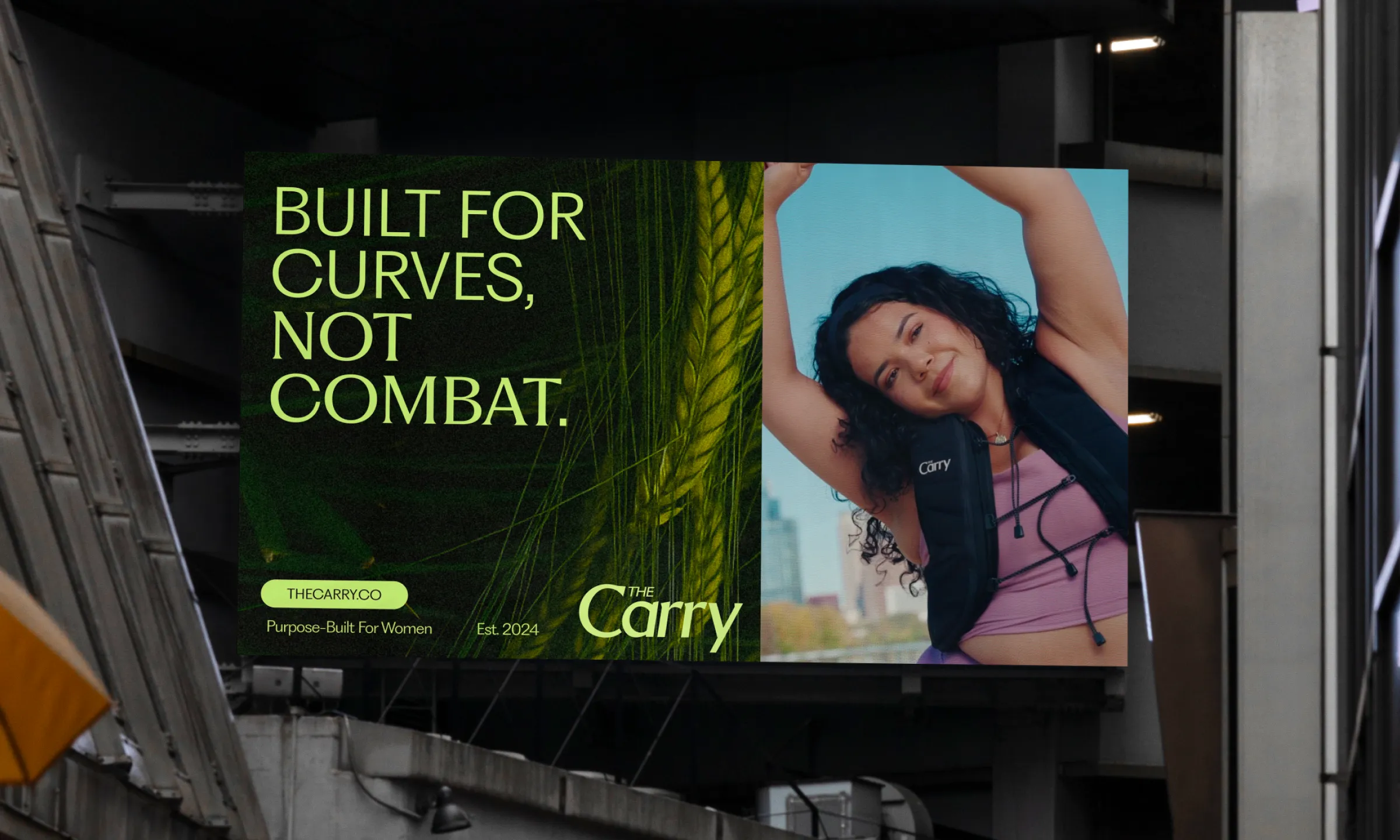 The Carry billboard with headline "Built for curves, not combat"