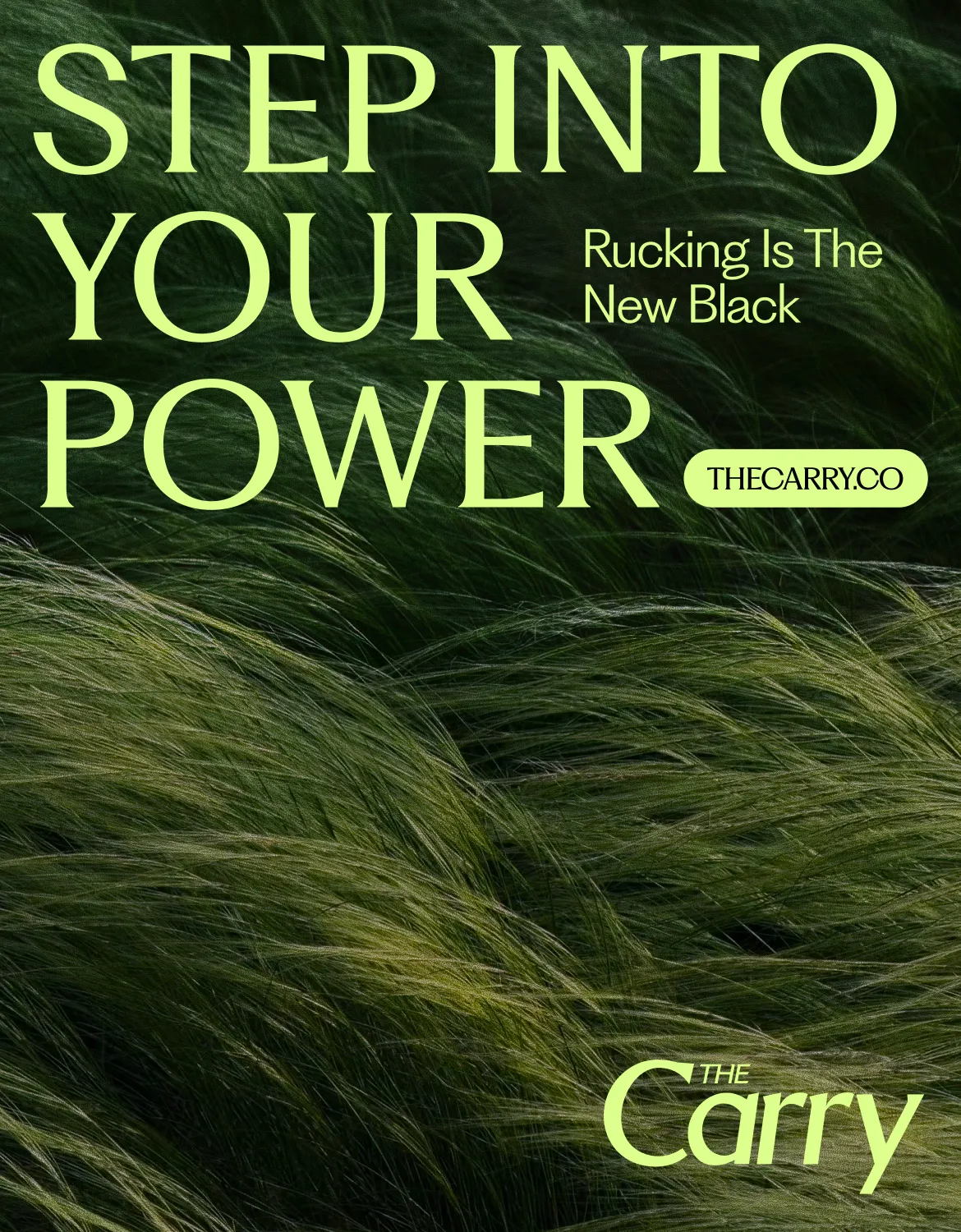 The Carry poster design with headline "Step into your power"
