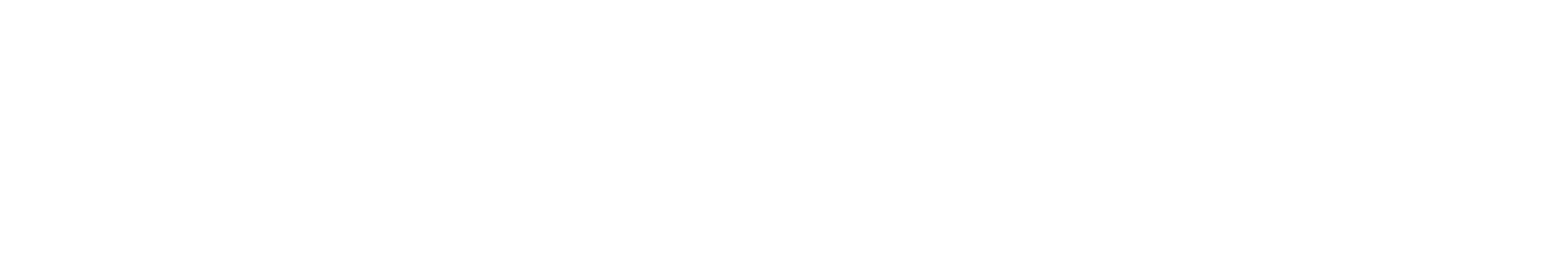 partners logo