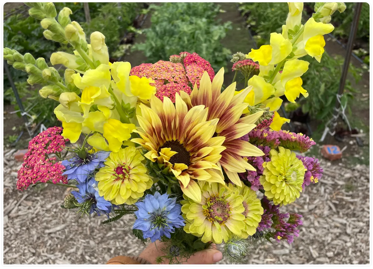 A bright bouquet of fresh flowers from the farm, ready for delivery.