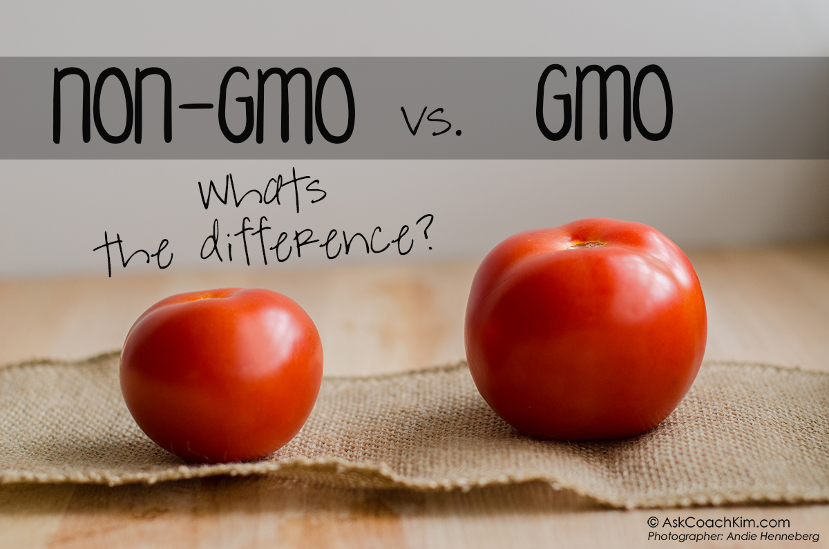 GMO Tomato
