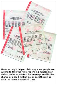 Lottery Tickets