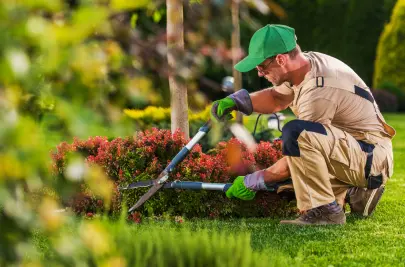 A landscaping services contractor pruning shrubs during spring maintenance