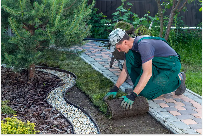 Landscape Gardener Laying Turf For New Lawn