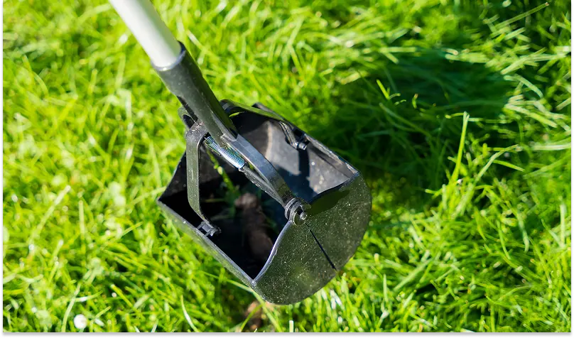 Close-up of a black pooper scooper on lush green grass, captured from a high angle in natural sunlight.