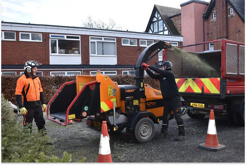Volunteers wearing safety gear work with a wood chipper in the parking lot of a Pilgrims Hospice building to process donated Christmas trees