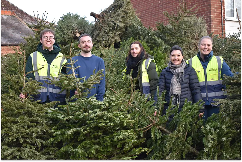 Five members of the Pilgrims Hospice pose with a large pile of Christmas trees after collection.