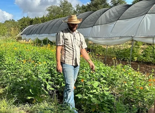 A farmer walks in a field of lush green produce