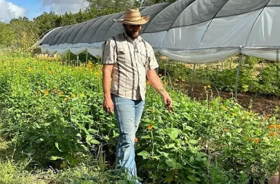 A farmer walks in a field of lush green produce