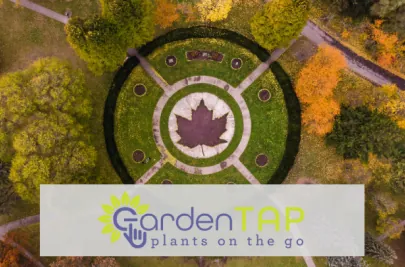 Aerial view of a formal garden with a paved maple leaf design in the center. The GardenTap logo is overlaid.