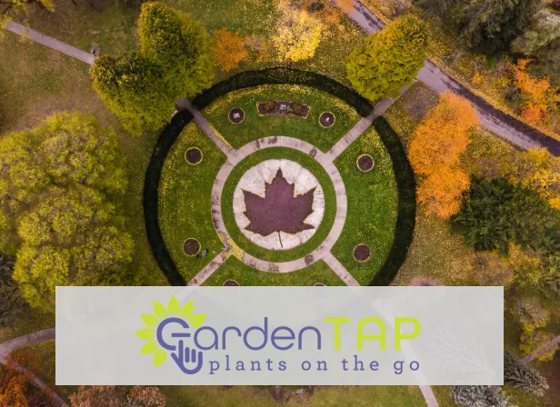 Aerial view of a formal garden with a paved maple leaf design in the center. The GardenTap logo is overlaid.