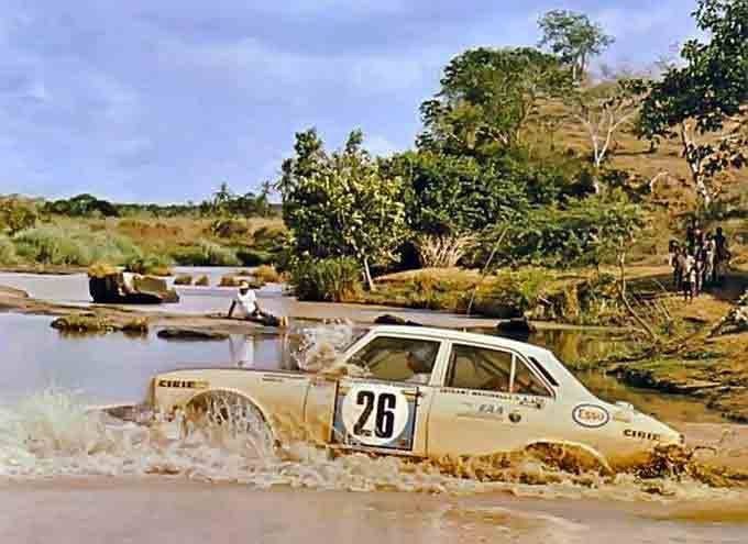 Peugeot 504 en rallye