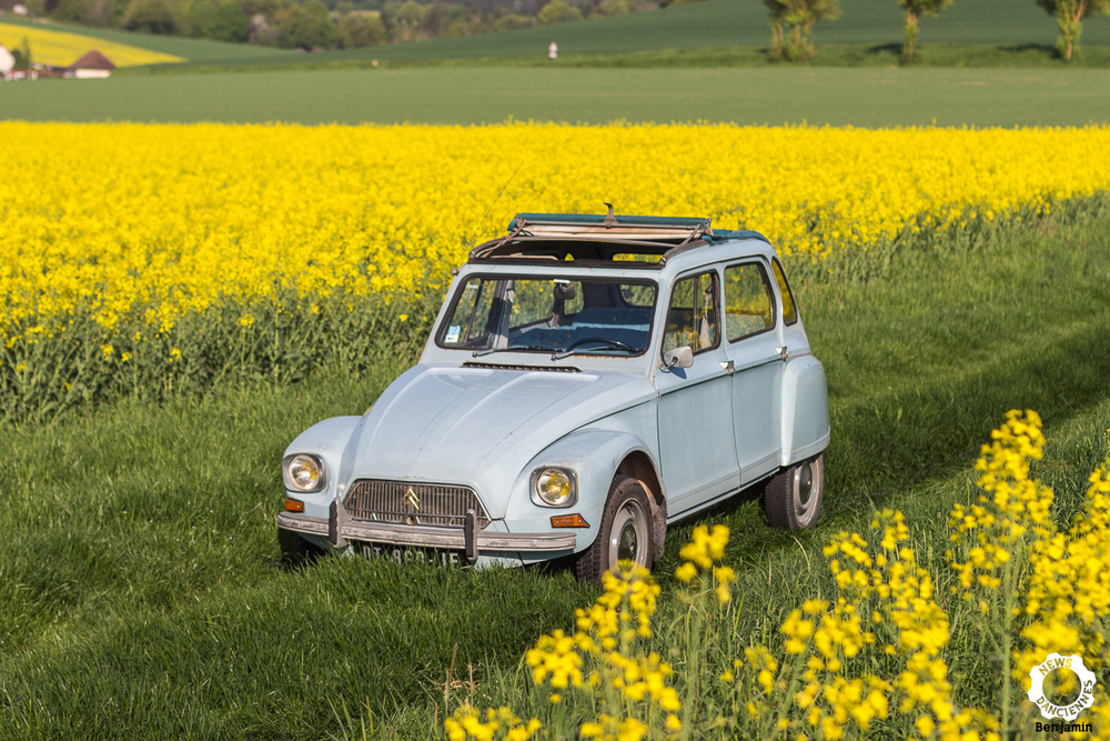 Citroën Dyane 6