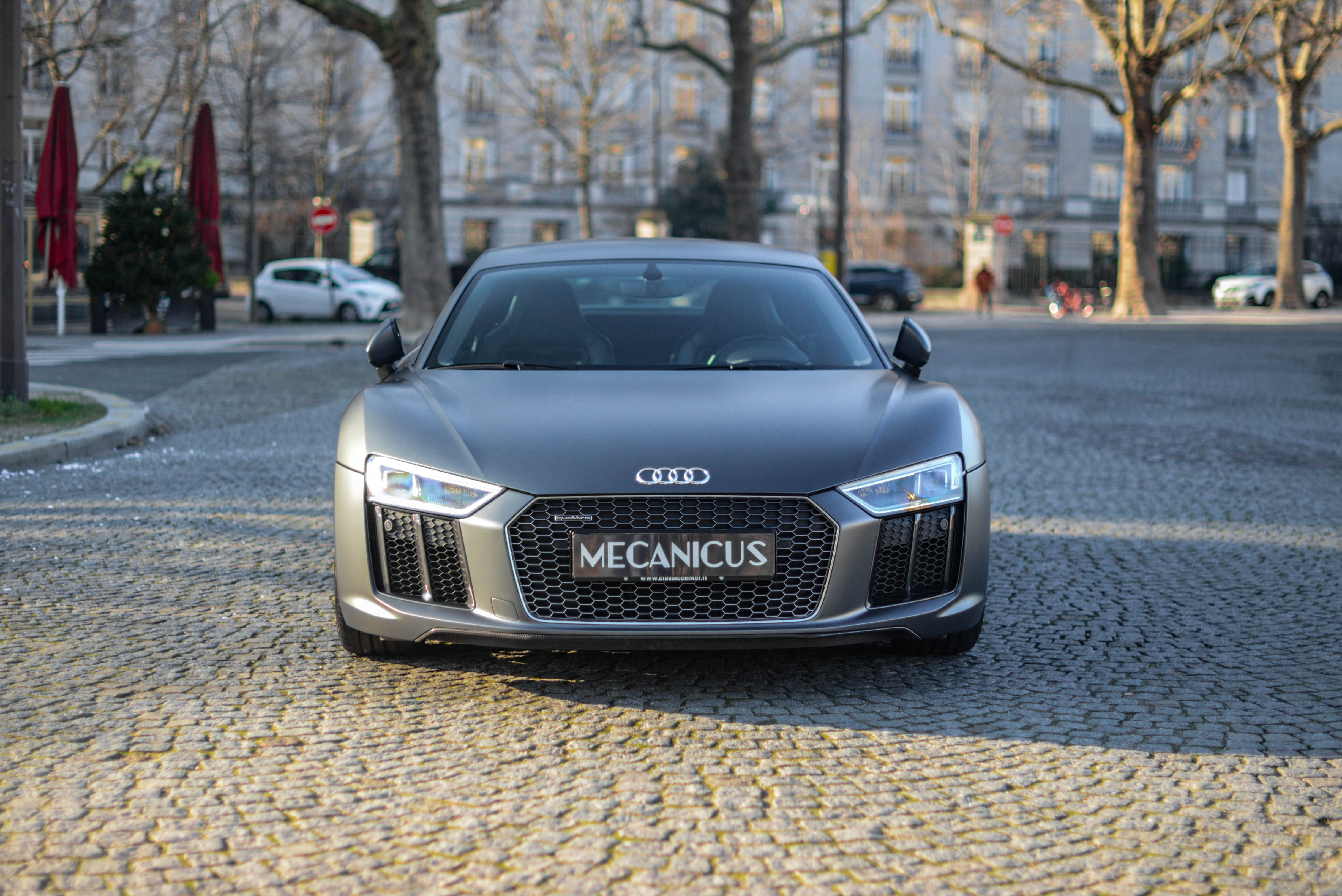 Audi R8 V10 Plus *Matt Grau Audi Exclusive*