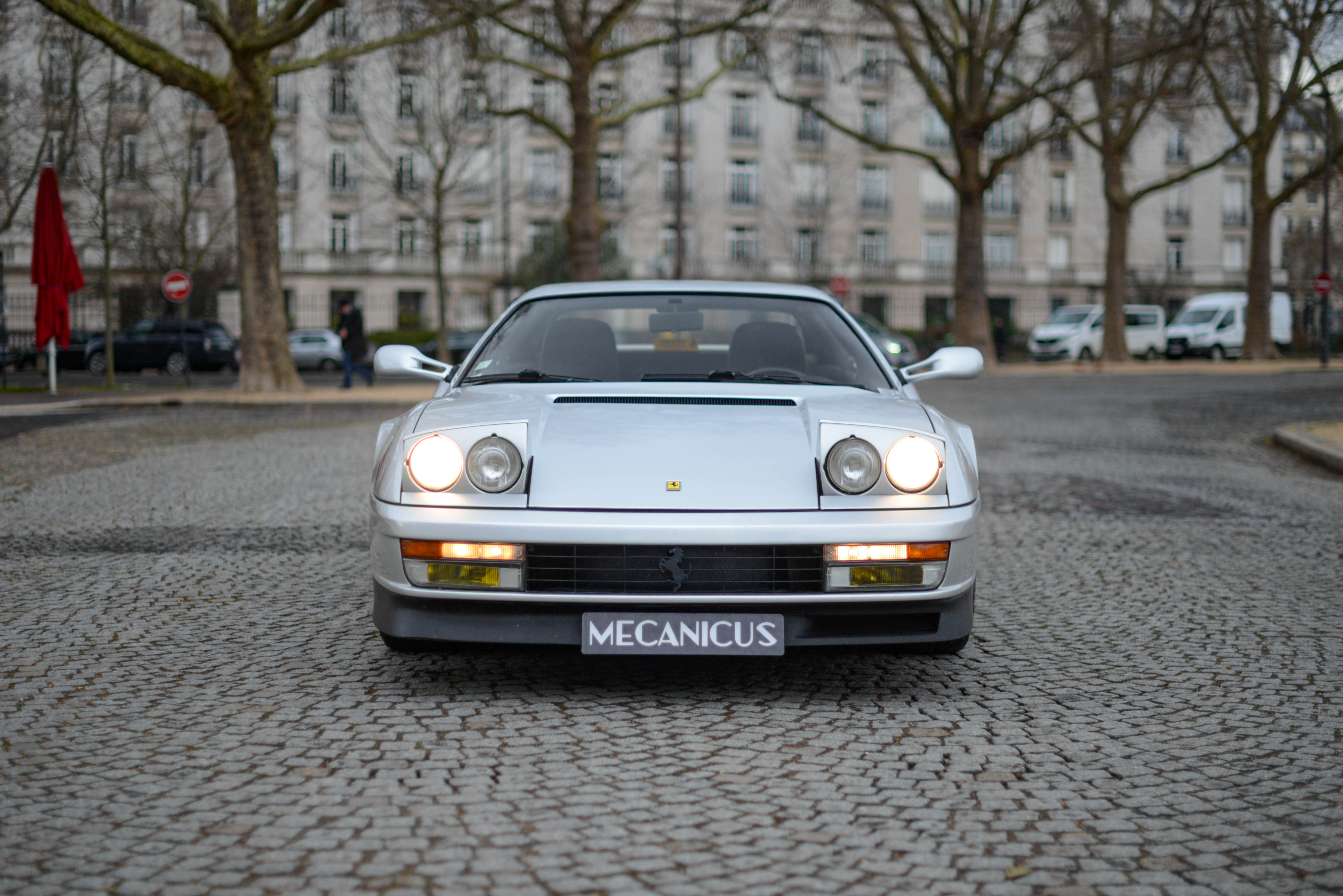 Ferrari Testarossa *Argento Ferrari*