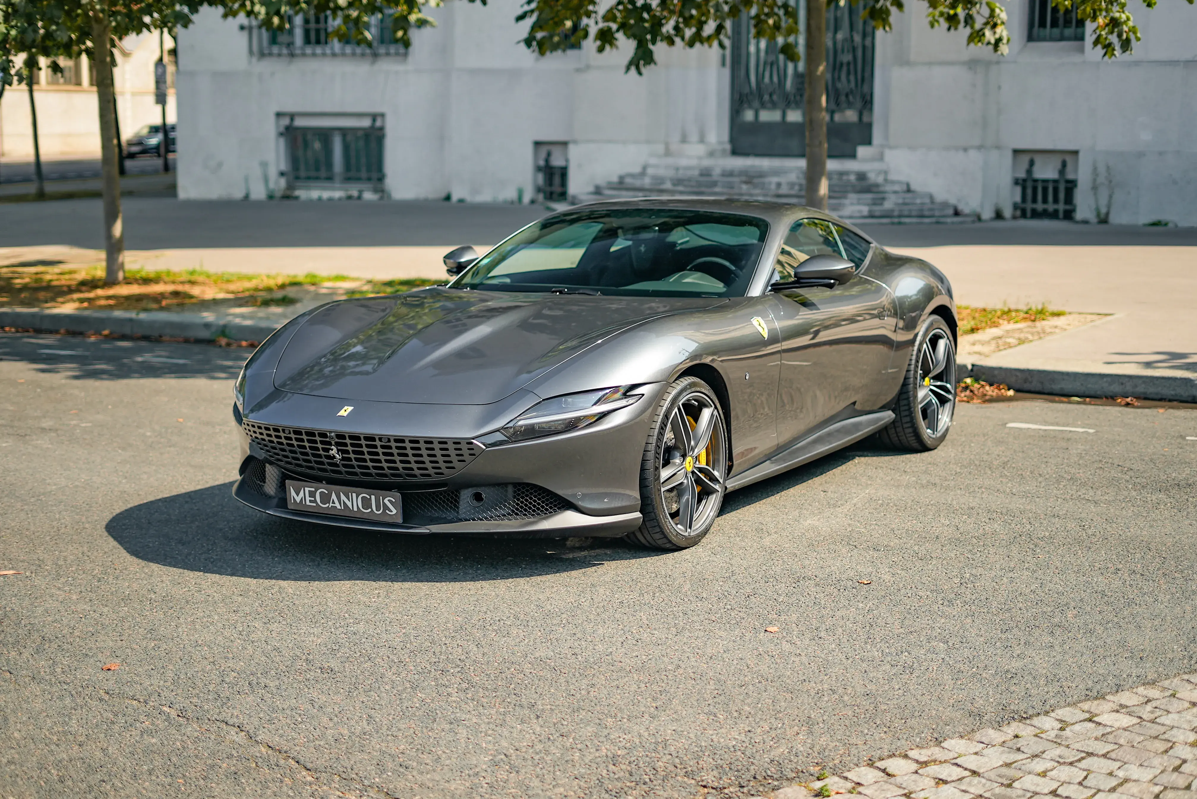 Ferrari Roma Grise Mecanicus Paris