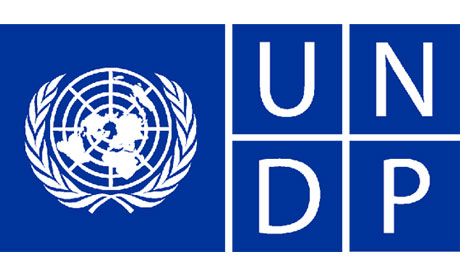 A blue logo for the United Nations Development Program.