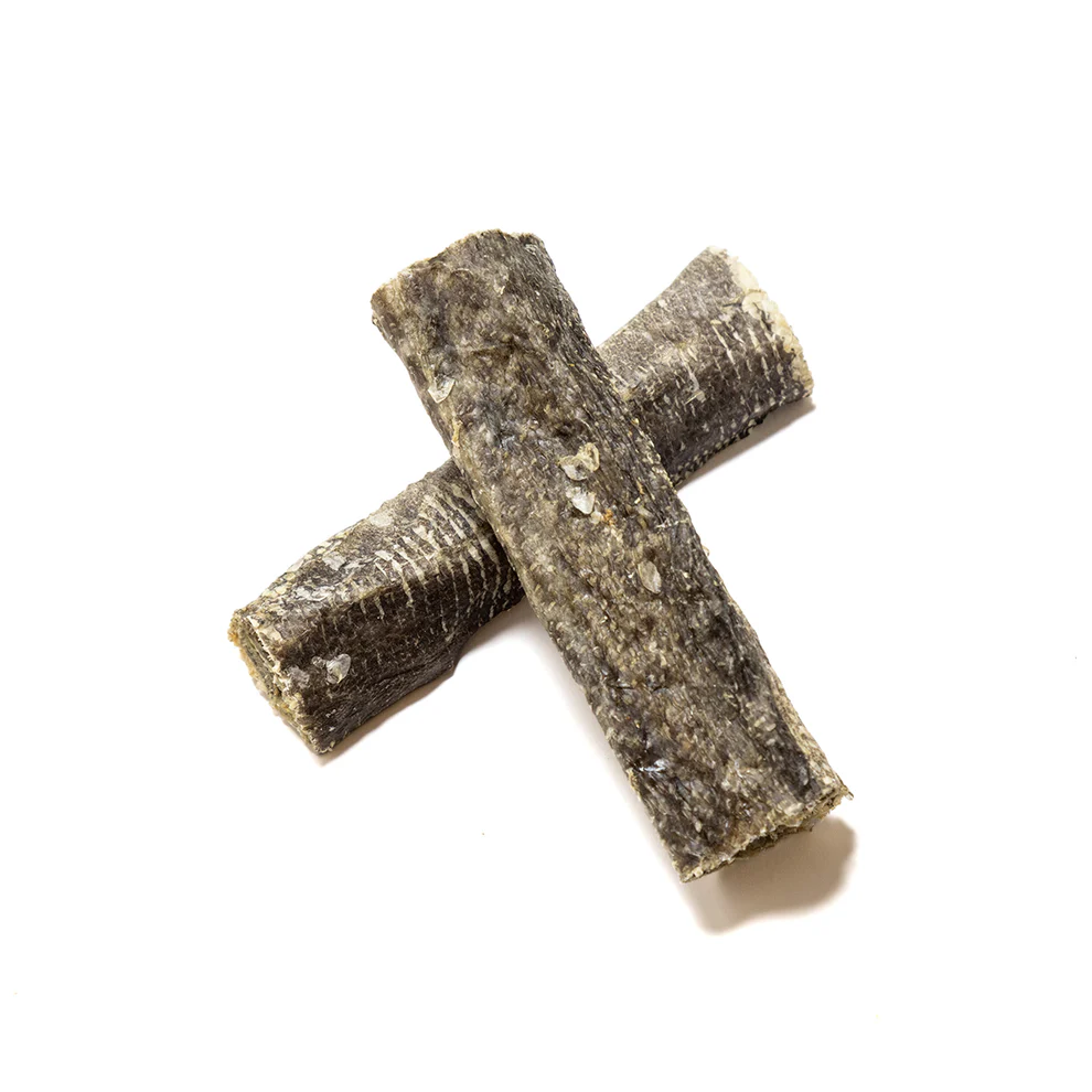 Natural Fish Skin Roll Dog Treat | Single Healthy Chew