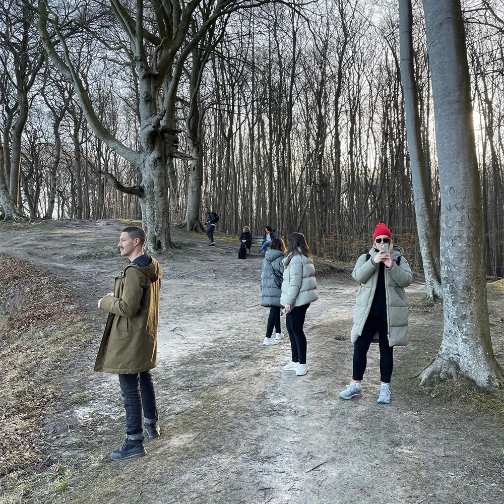 Drei Personen spazieren durch einen dichten Wald, umgeben von hohen Bäumen und grüner Vegetation.