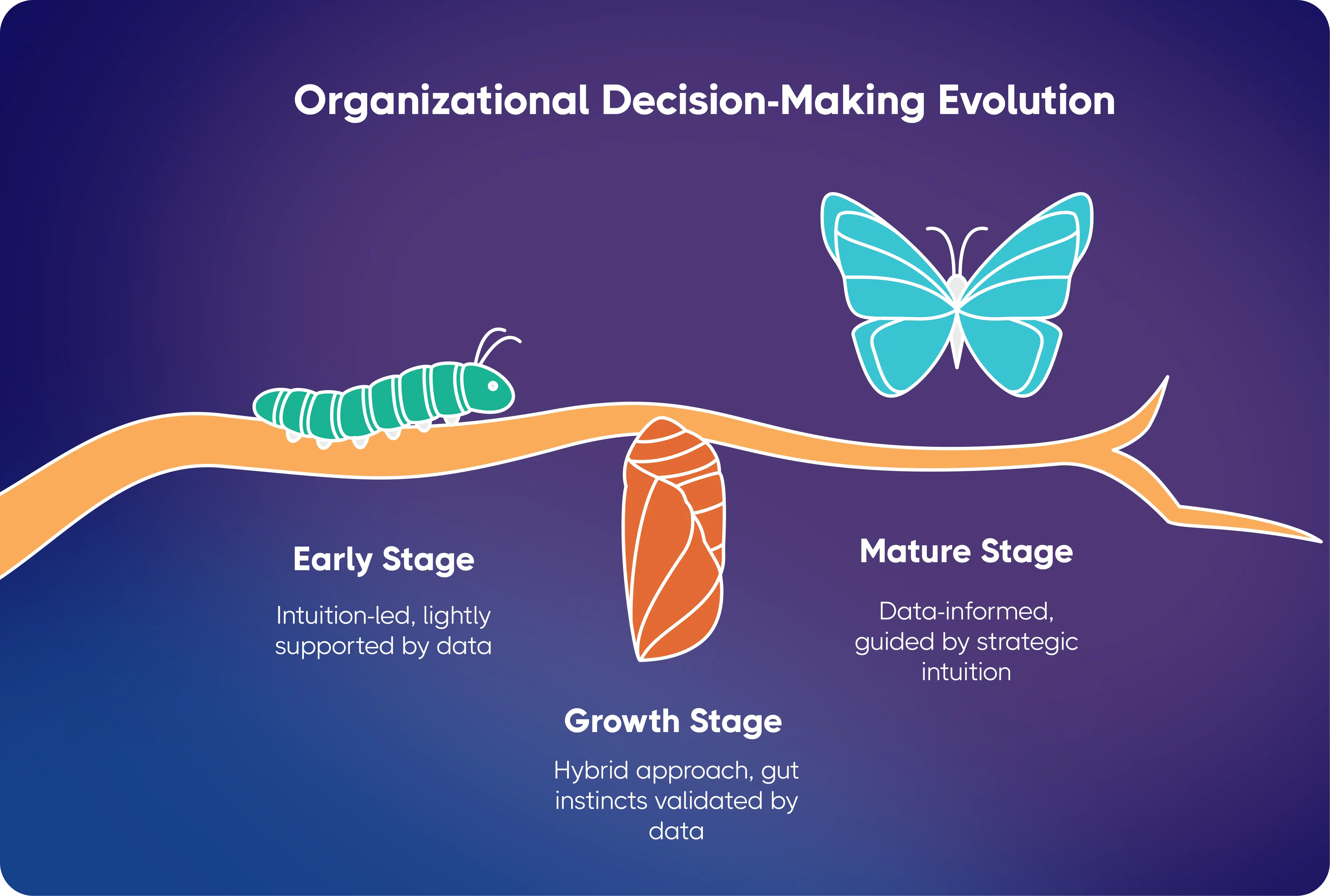 Organizational Decision-Making Evolution