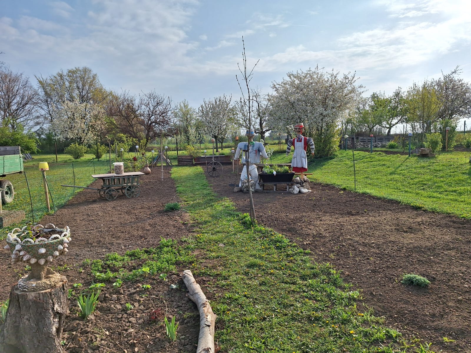 🥔🌱 Die 3. Klasse pflanzt Erdäpfel 🌱🥔