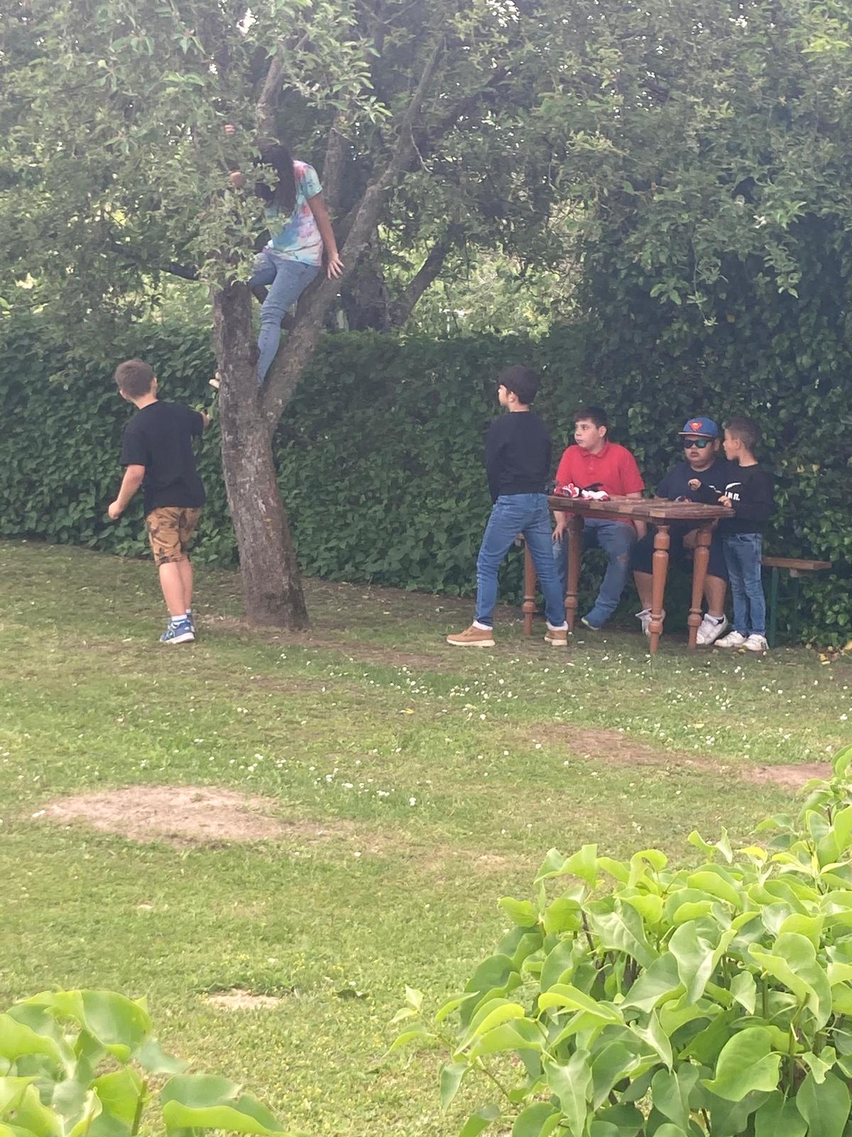 🌳☀️ Ausflug der 3. Klasse auf unser Feld ☀️🌳