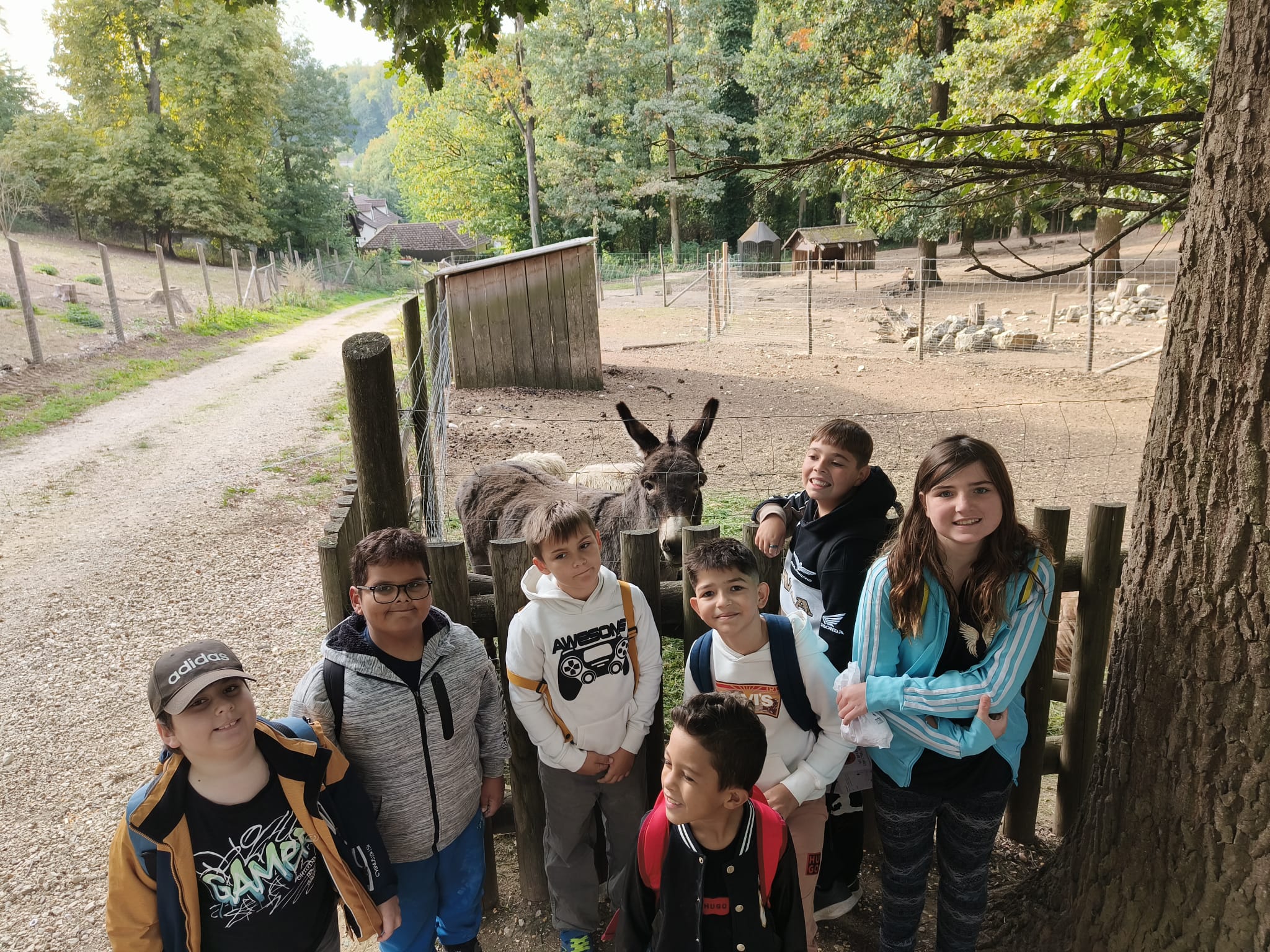🌿🚌 Ausflug nach Ernstbrunn 🦌💚