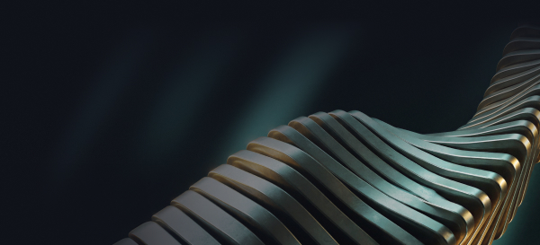 Capital Concentration in an Expanding Crypto Universe